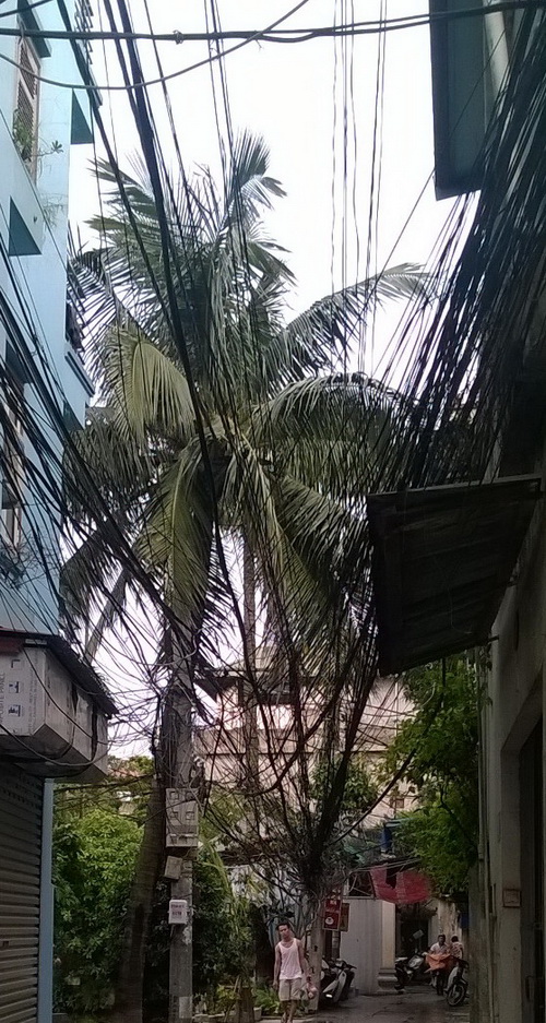 Tiếp tục dọn "rác trời" ảnh 2